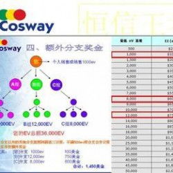 太阳线直销软件专业定制开发全解析 从厂家选择到价格评估